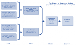 Theory of Reasoned Action