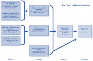 Theory of Planned Behaviour