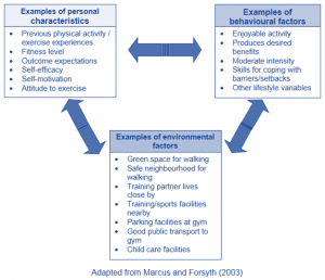 cognitive theory social behaviour learning theories health factors models change enlarge amactraining