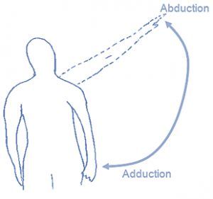 adduction abduction