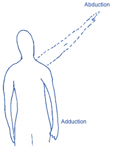 adduct abduct
