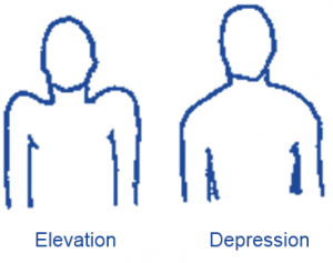 elevate depress
