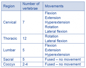 spine region and movement